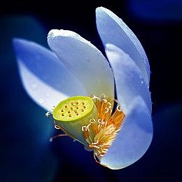 像素风动作冒险游戏《阿玛拉：魔神之意》Steam页面 发售日待定